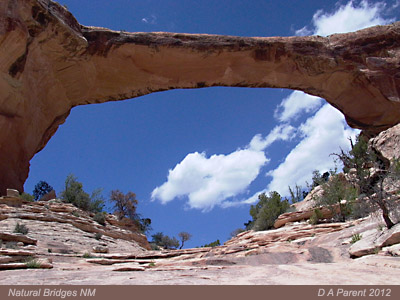 Natural Bridges NM