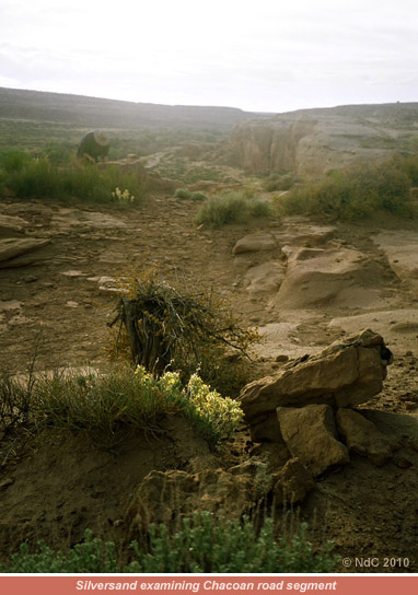 Pueblo Bonito Overlook