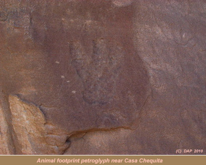 3 Toed Bird Foot Petroglyph