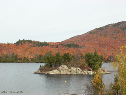 Fall leaves surrounding Lake Stukely, Orford, Quebec